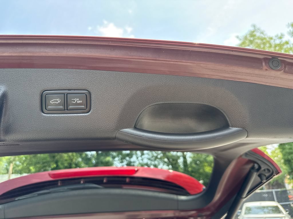 Used 2024 Kia Carnival SX FWD image 14