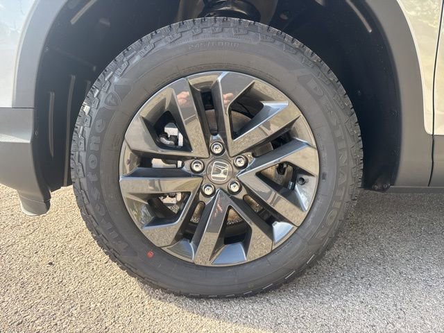 New 2026 Honda Ridgeline Sport image 8