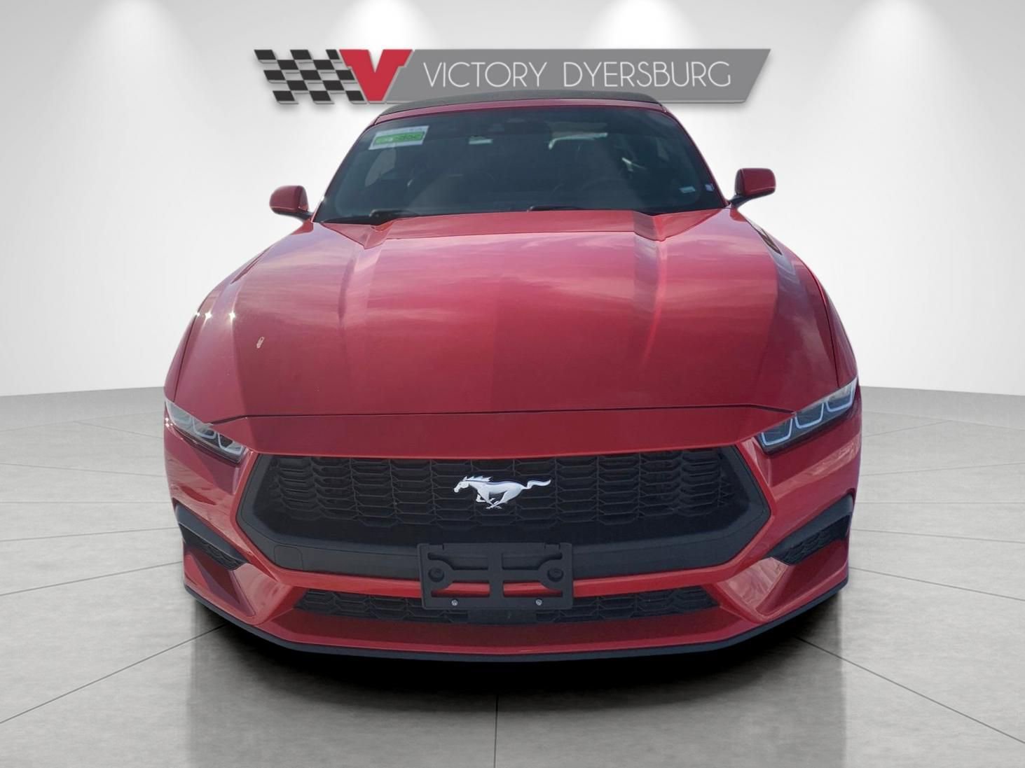 Used 2024 Ford Mustang Premium image 3