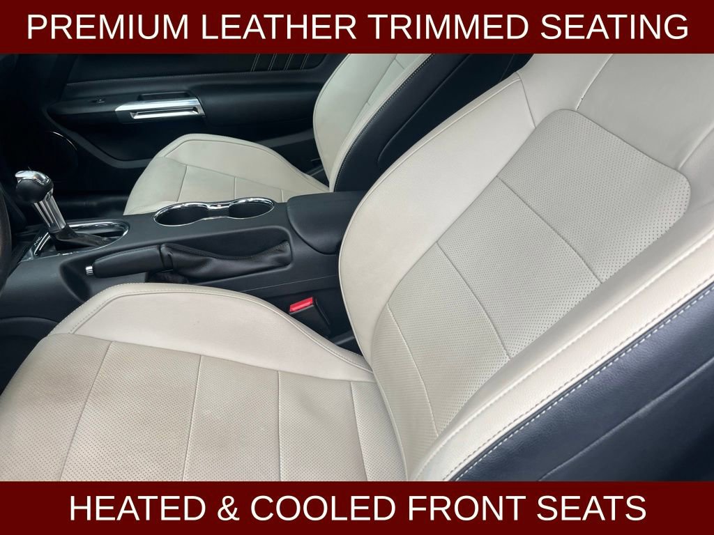 Used 2017 Ford Mustang Premium w/ Pony Package image 15