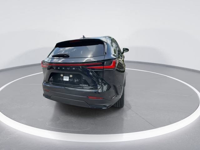 Certified 2023 Lexus NX 250 FWD w/ Towing Package (2000 Lbs) image 7