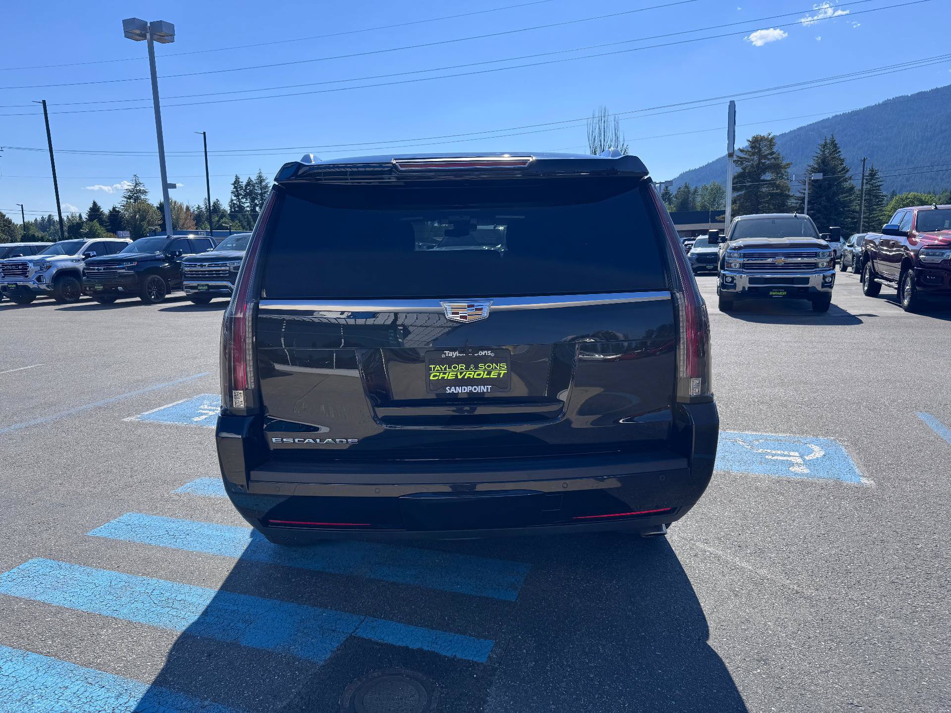 Used 2017 Cadillac Escalade Platinum AWD/4WD image 6