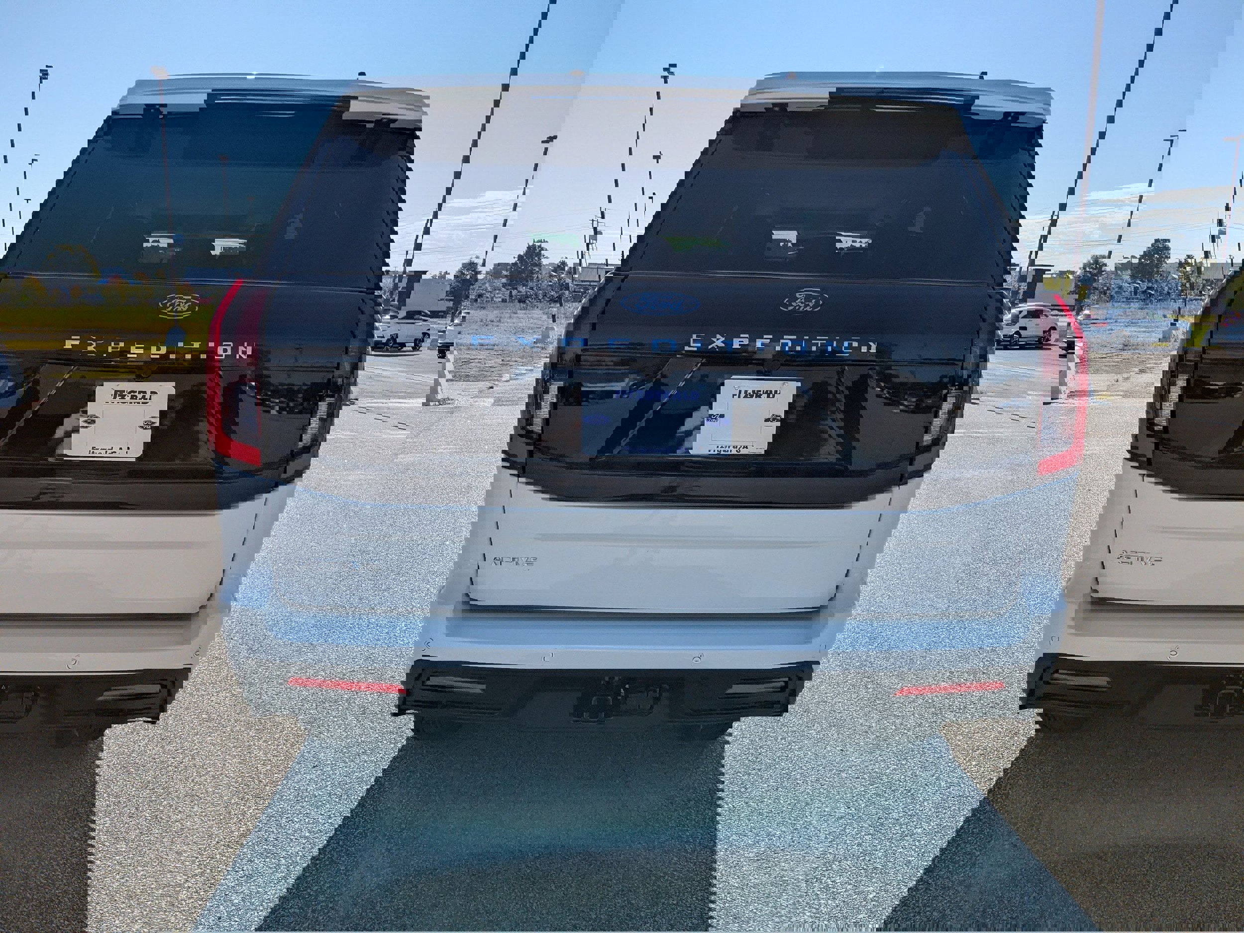 New 2025 Ford Expedition Active image 5