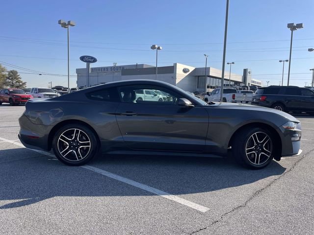 Used 2019 Ford Mustang Premium image 2