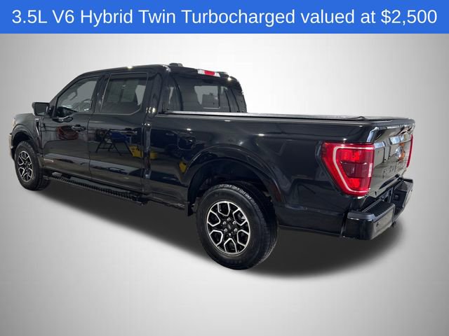 Used 2023 Ford F150 XLT w/ Equipment Group 302A High video 3