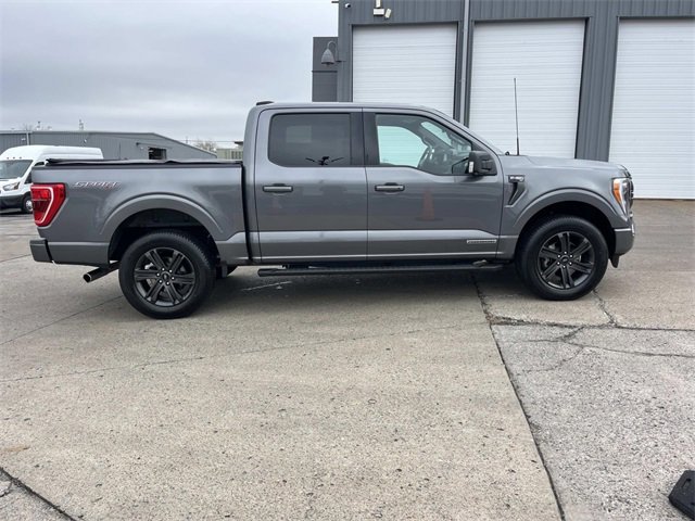 Used 2023 Ford F150 XLT w/ Equipment Group 302A High image 2