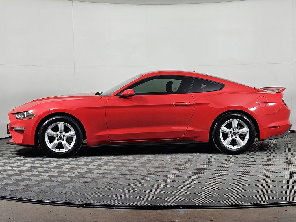 Used 2019 Ford Mustang Coupe image 3