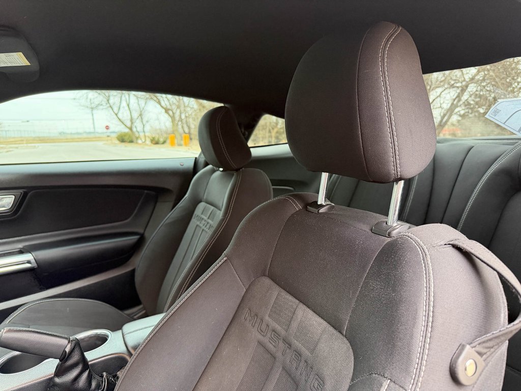 Certified 2019 Ford Mustang GT image 10