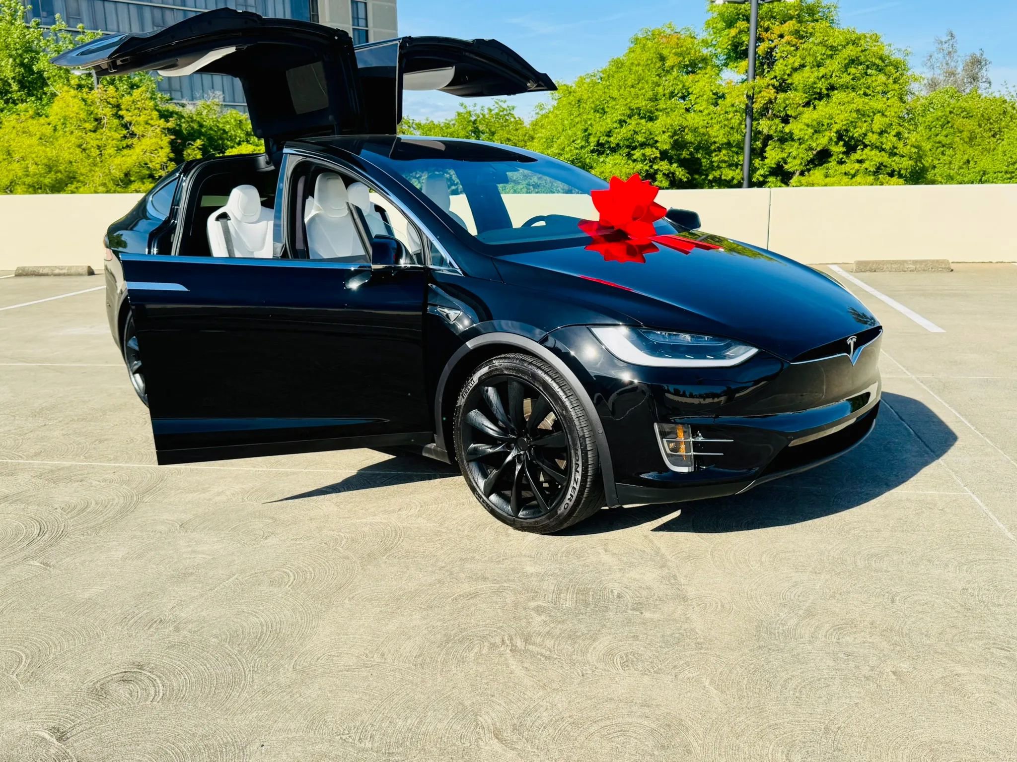 Used 2019 Tesla Model X 100D image 1