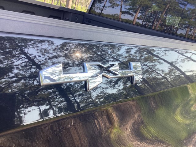 New 2025 GMC Sierra 1500 Pro w/ Graphite Edition image 11