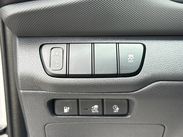 Used 2019 Hyundai Ioniq Electric FWD image 35