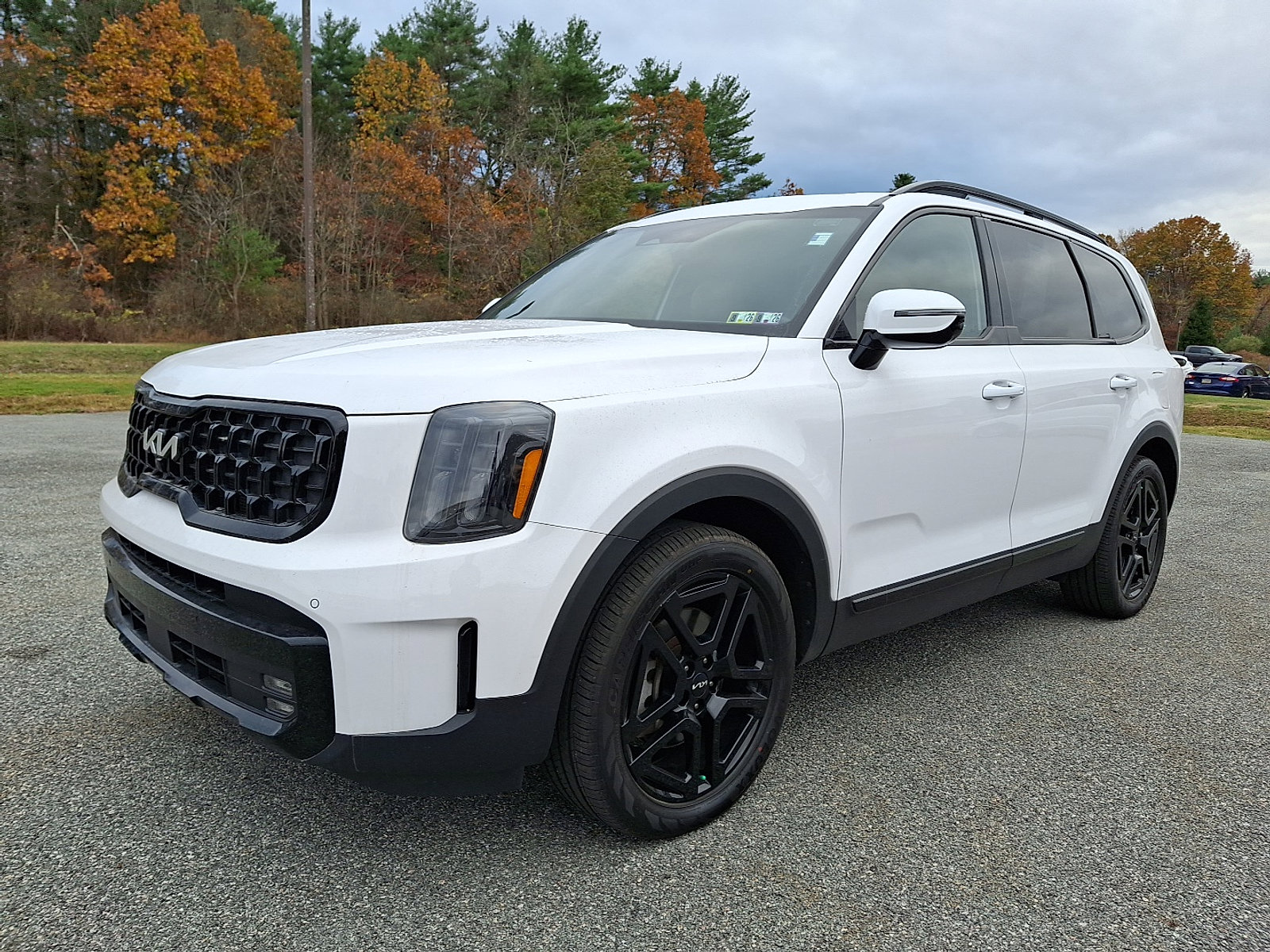 Used 2024 Kia Telluride SX Prestige X-Line image 5