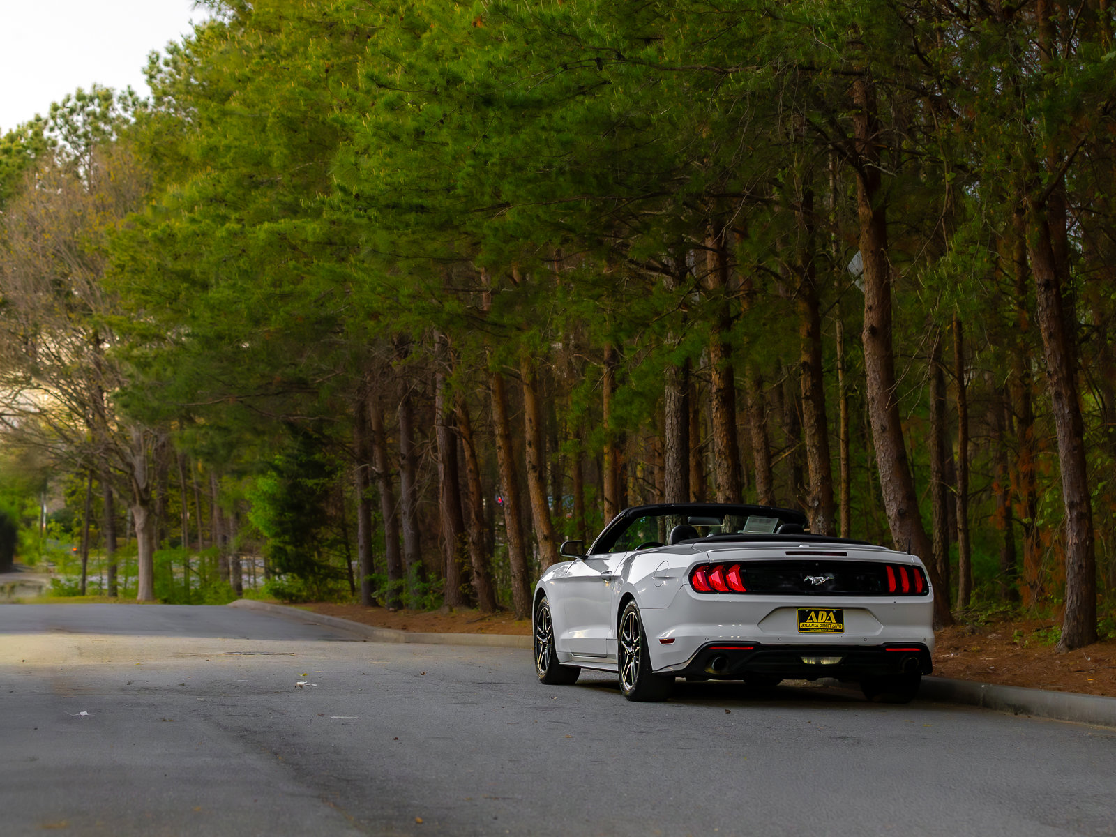 Used 2022 Ford Mustang Premium image 39