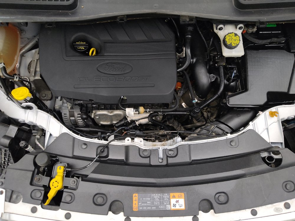 Used 2019 Ford Escape SE FWD image 30