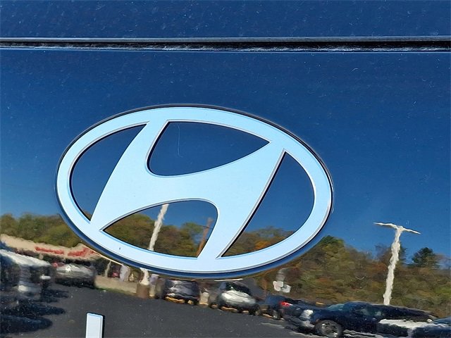 New 2026 Hyundai Palisade Calligraphy image 5