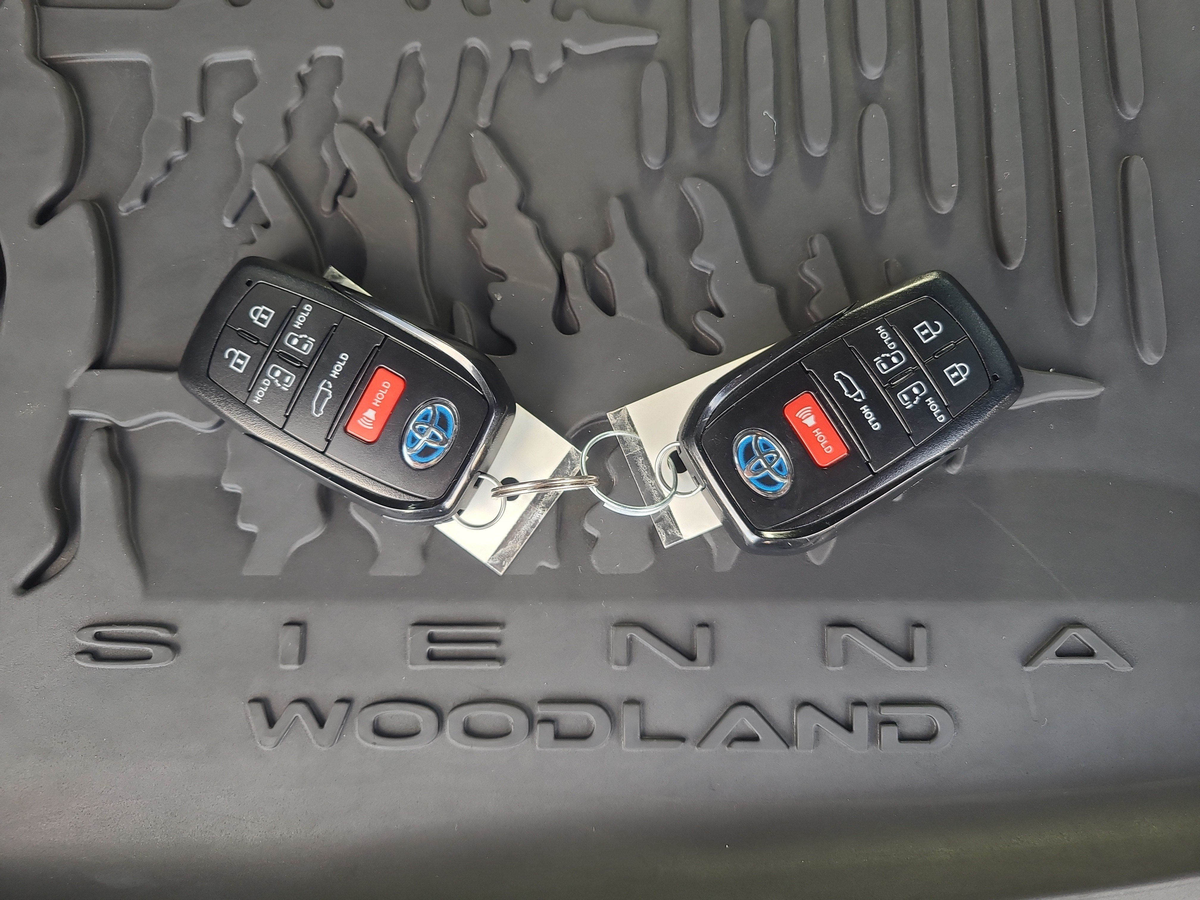 Certified 2025 Toyota Sienna XLE Woodland Edition AWD/4WD image 32