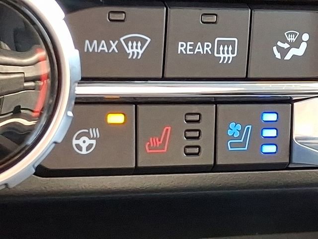 Used 2024 Ford F150 Platinum image 19