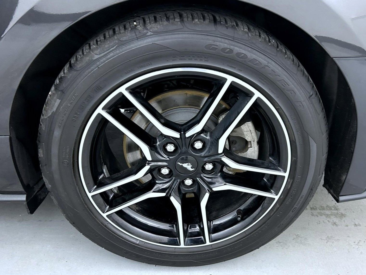 Used 2023 Ford Mustang Coupe w/ Equipment Group 101A image 20