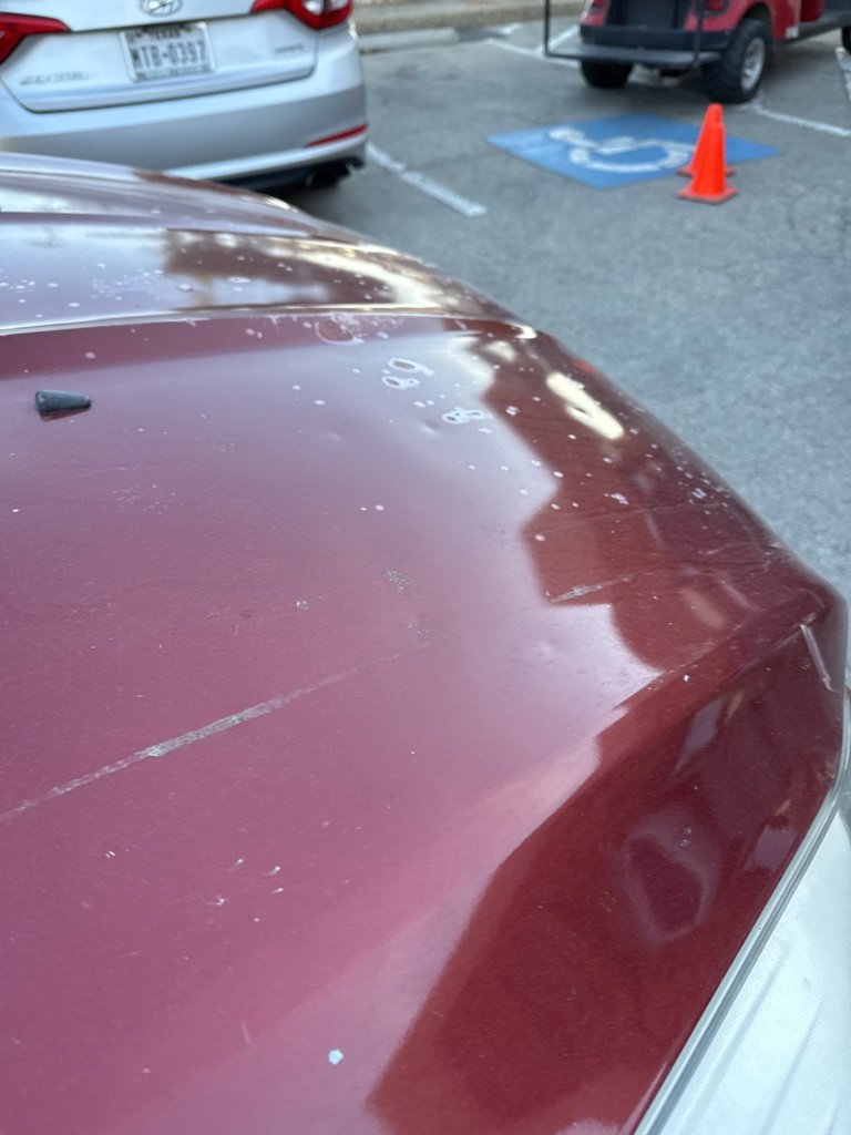 Used 2013 Ford Escape Titanium image 22