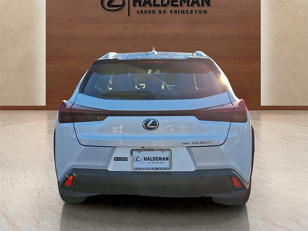 Used 2025 Lexus UX 300h AWD image 6