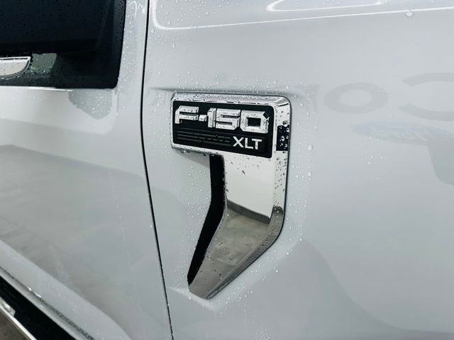 New 2025 Ford F150 XLT w/ Equipment Group 302A MID image 12