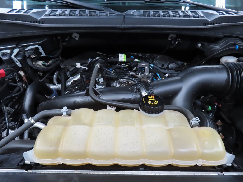 Used 2019 Ford F150 XLT w/ Equipment Group 302A Luxury image 25