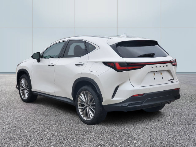 Used 2025 Lexus NX 350h AWD w/ Accessory Package (2T) image 6
