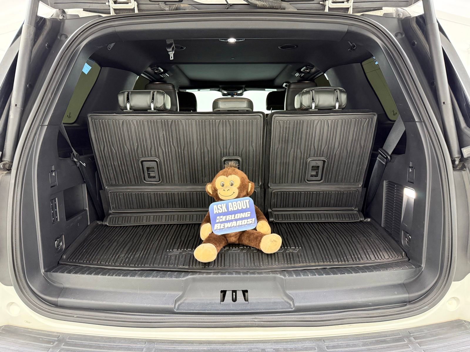 Used 2022 Ford Expedition Timberline AWD/4WD image 8
