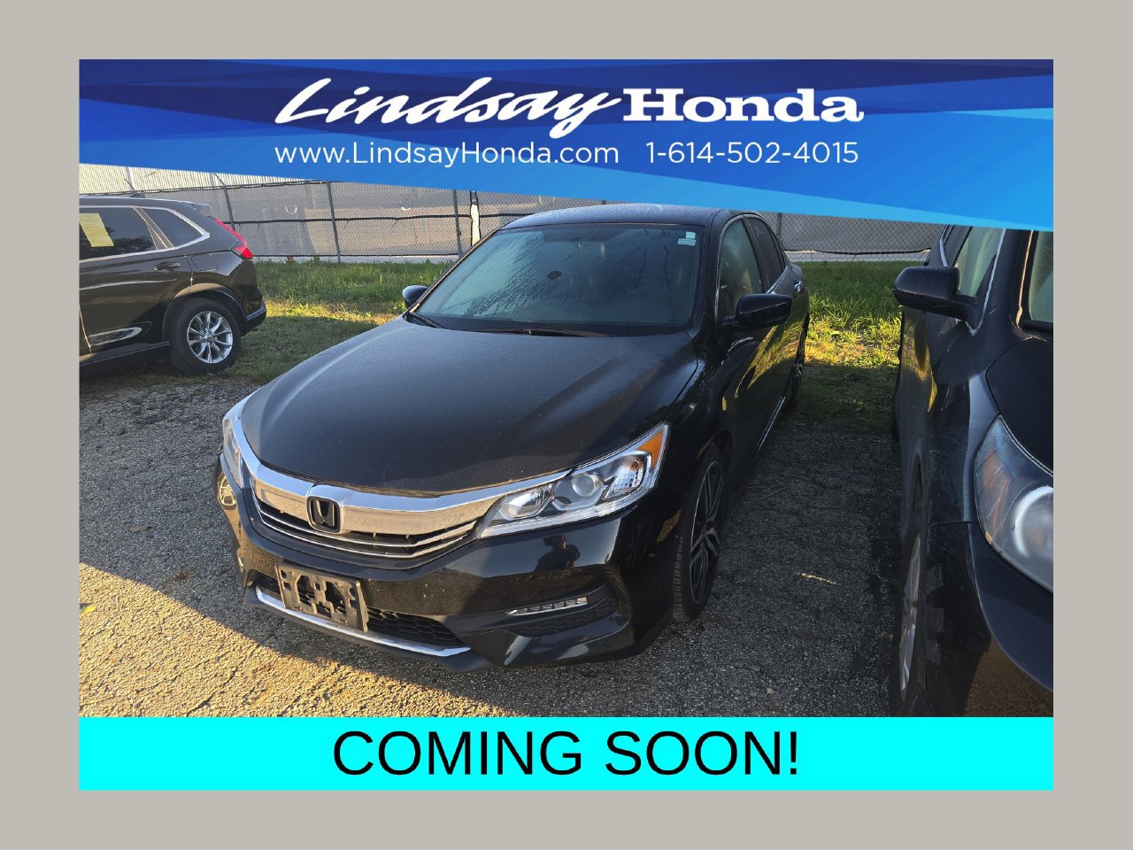 Used 2017 Honda Accord Sport image 1