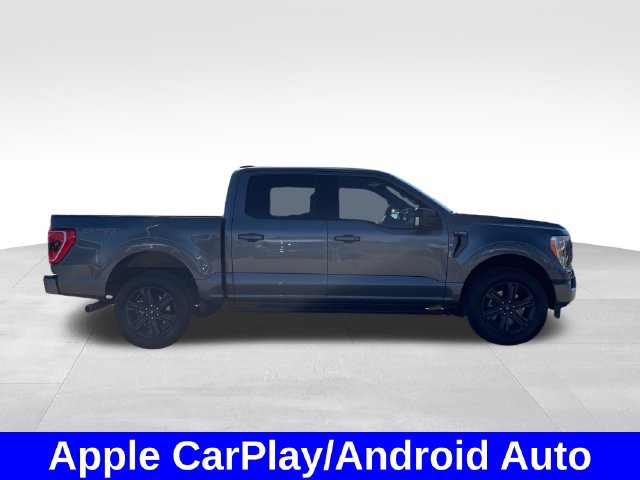 Used 2023 Ford F150 XLT w/ Equipment Group 302A High AWD/4WD image 6