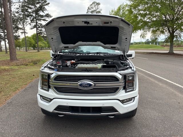 Used 2023 Ford F150 Limited image 20