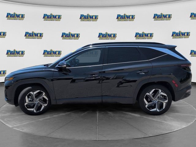 Used 2024 Hyundai Tucson Limited FWD image 12