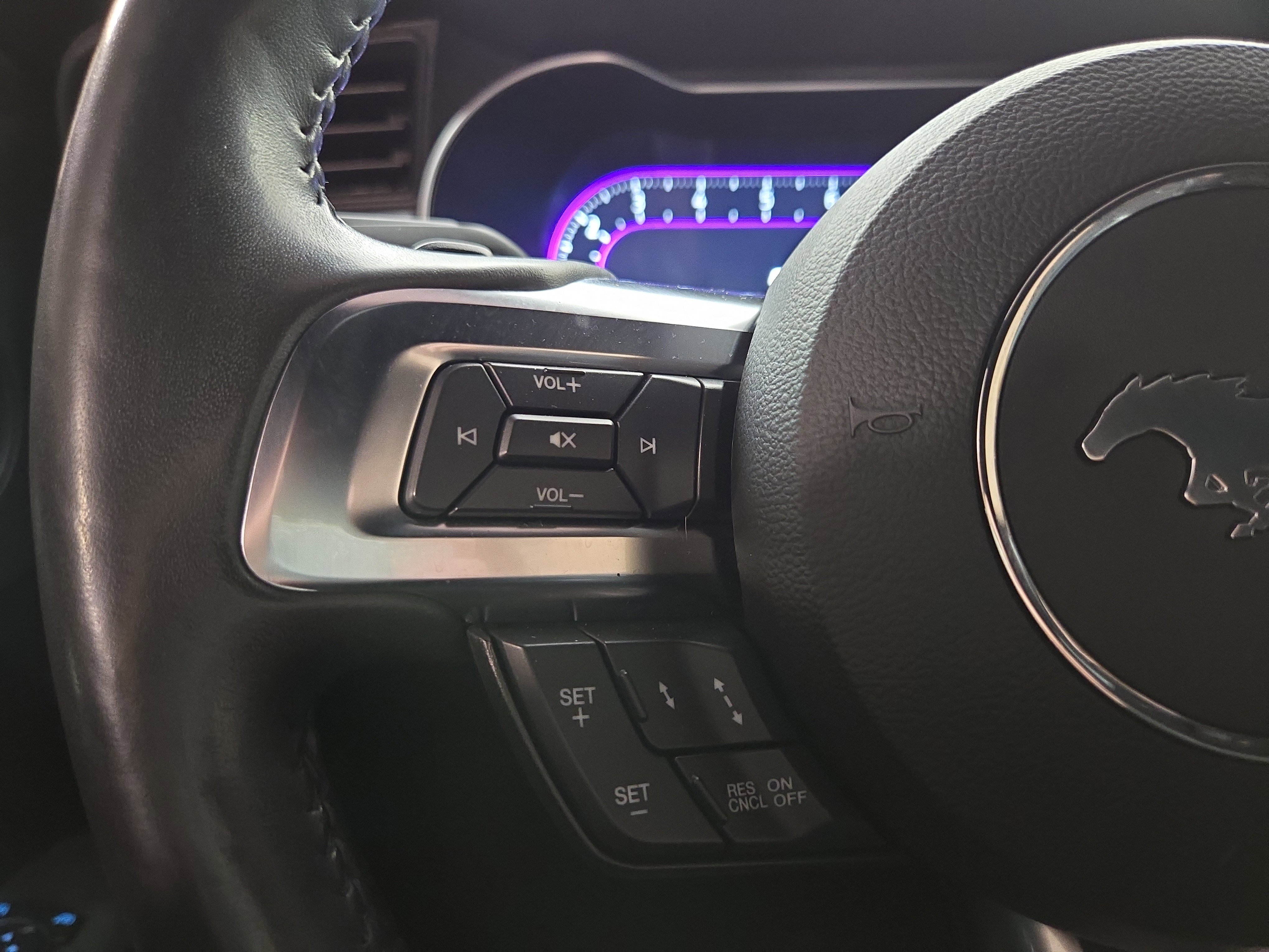 Used 2019 Ford Mustang GT Premium w/ Equipment Group 401A image 16