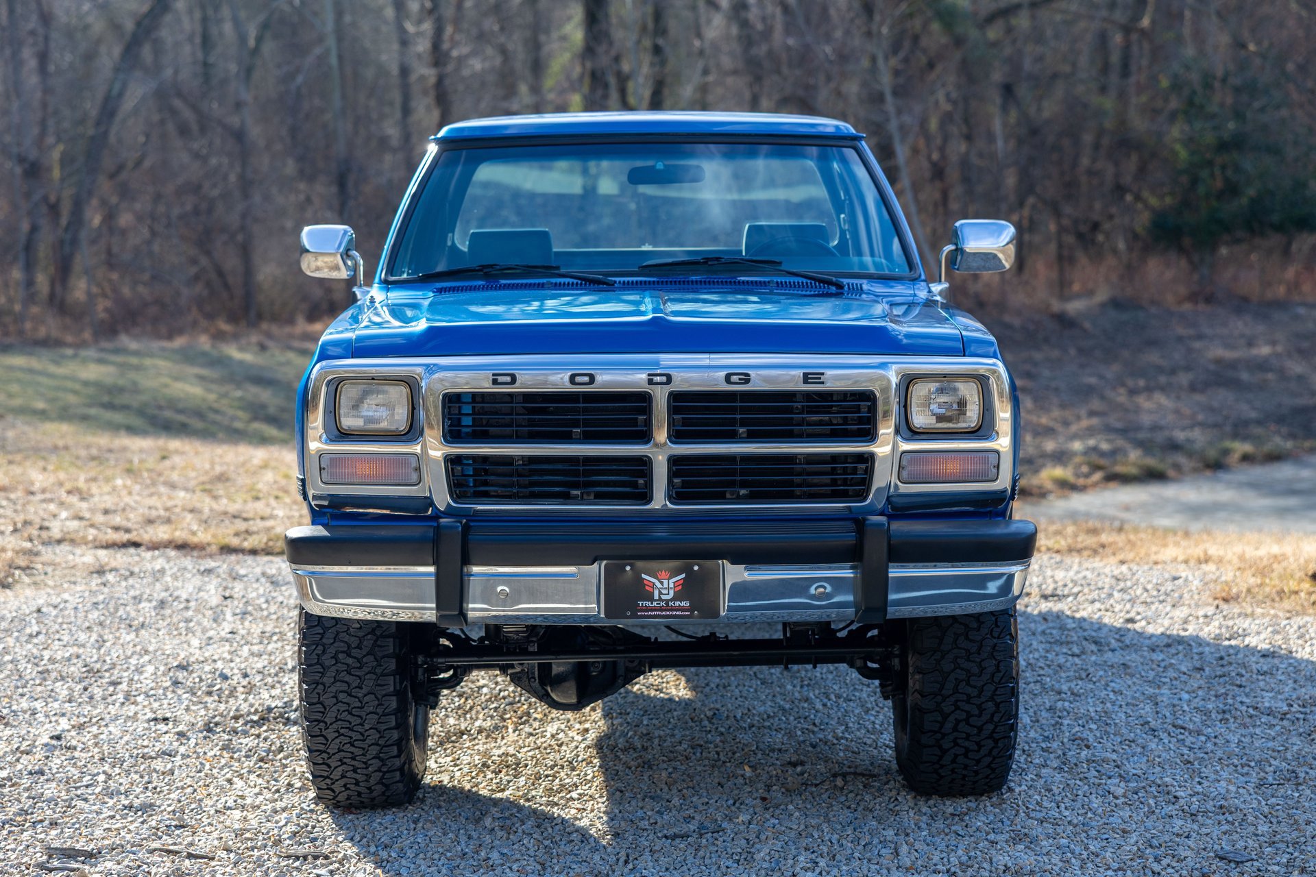 Used 1992 Dodge D/W Truck 250 image 5