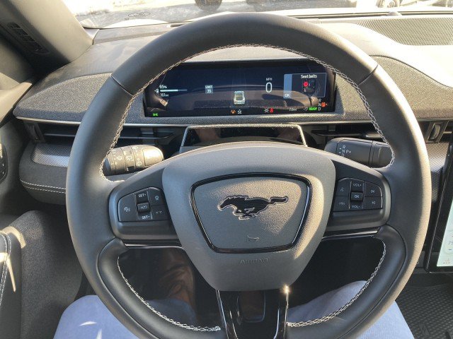 New 2025 Ford Mustang Mach-E GT AWD/4WD image 15