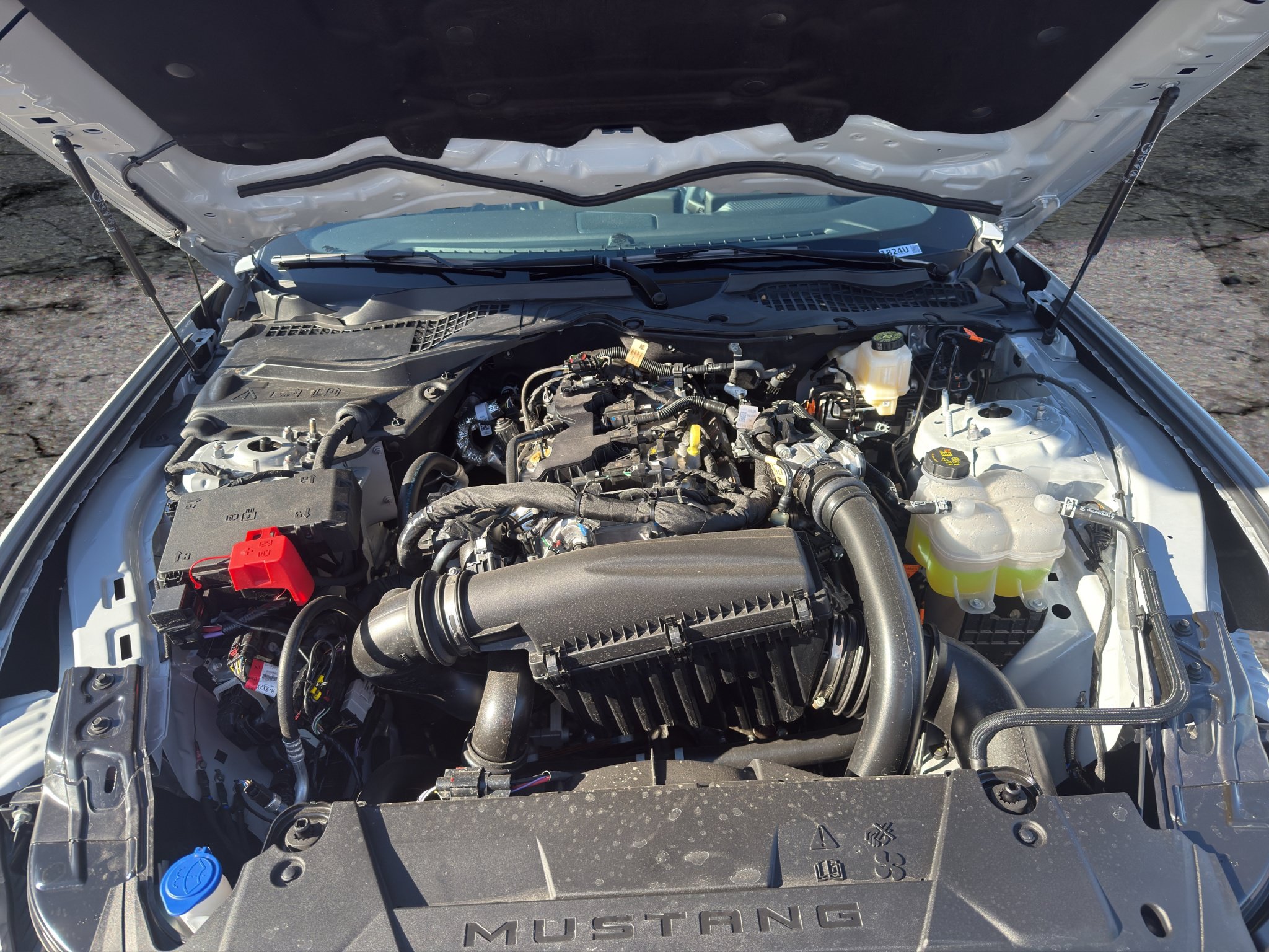 Used 2026 Ford Mustang Coupe RWD image 18
