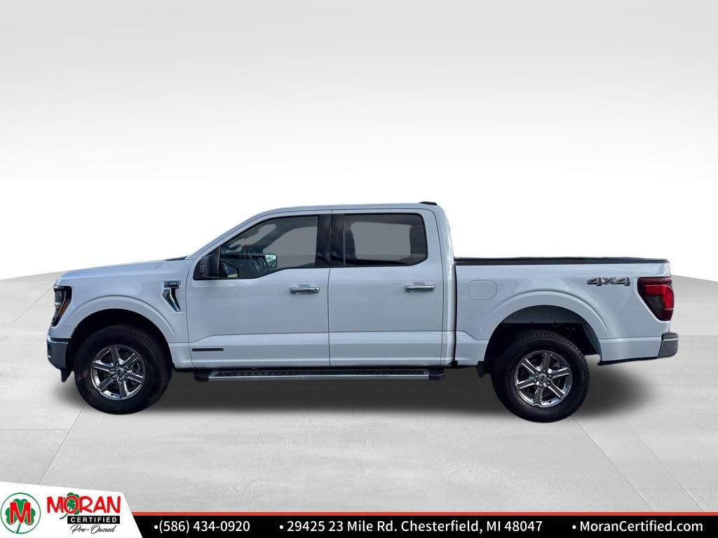 Used 2025 Ford F150 XLT w/ Equipment Group 301A Standard video 2