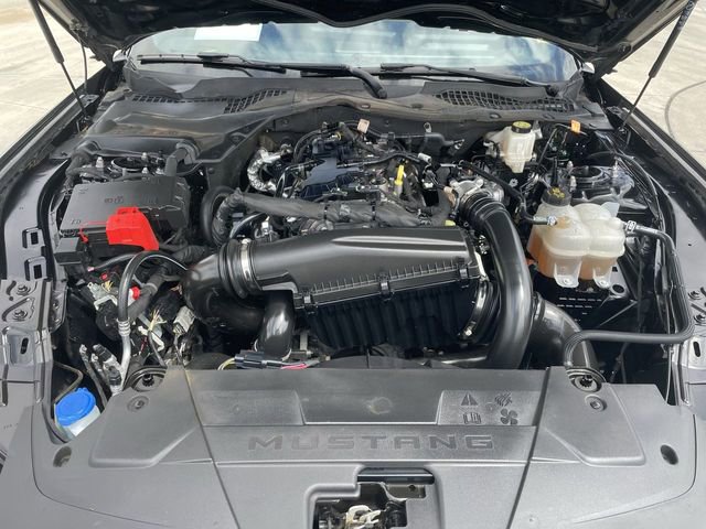 Used 2024 Ford Mustang Coupe RWD image 28