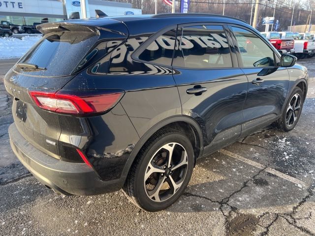 Certified 2025 Ford Escape ST-Line Elite w/ Tech Pack #1 image 4