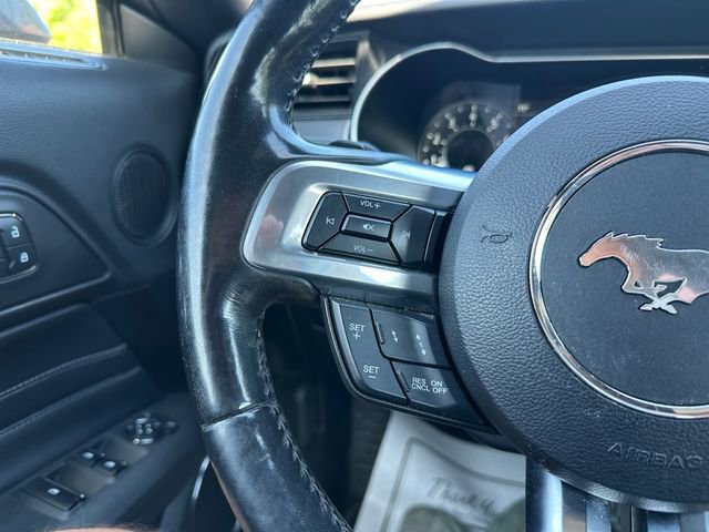 Used 2019 Ford Mustang Premium w/ Equipment Group 201A RWD image 22