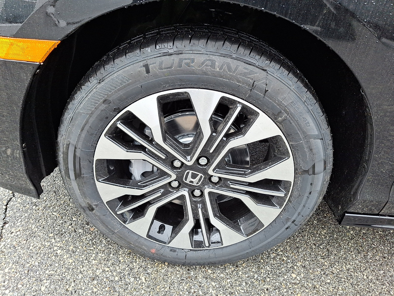 New 2026 Honda Odyssey Elite image 4