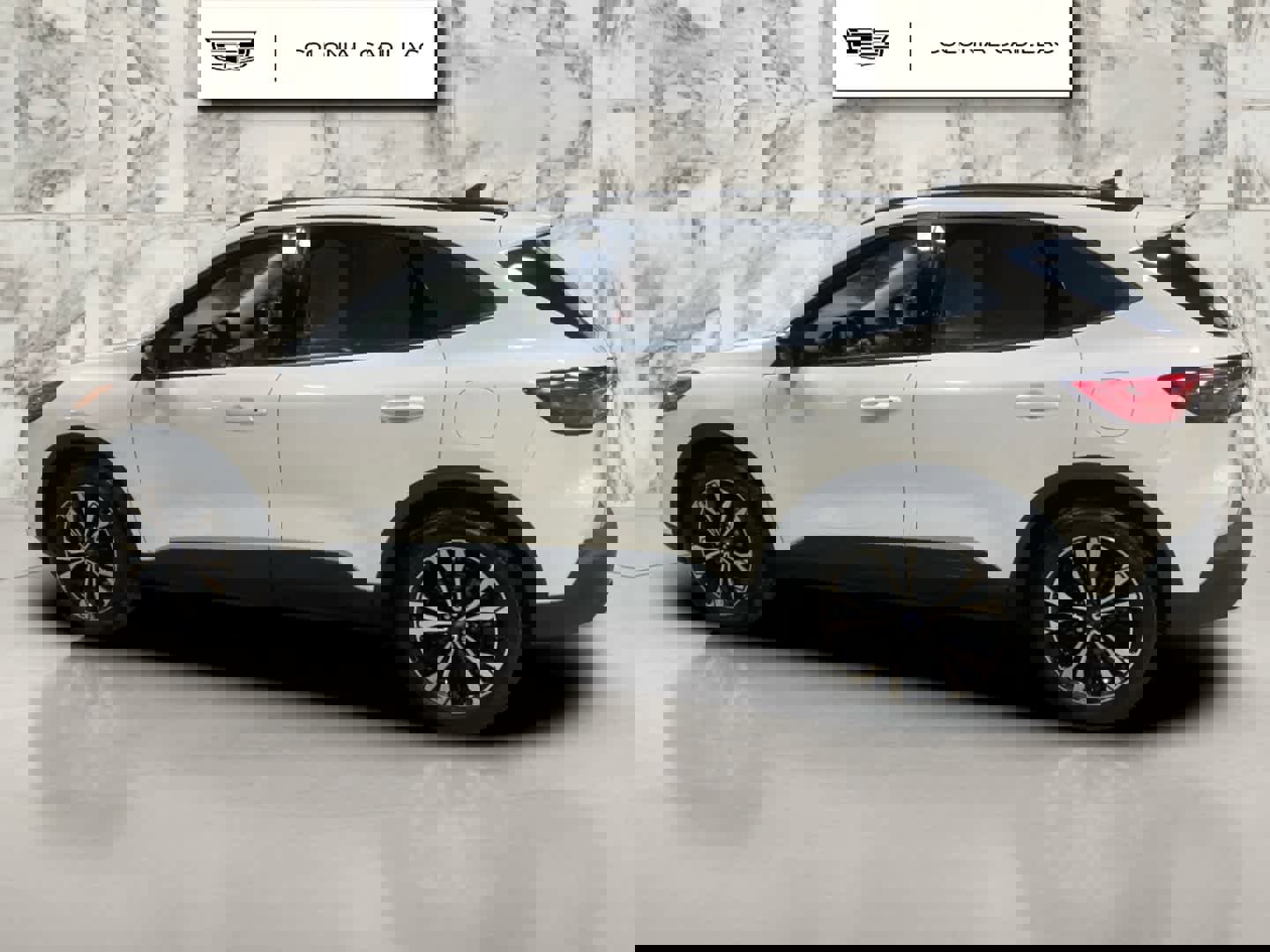 Used 2021 Ford Escape SE w/ SE Sport Appearance Package image 2