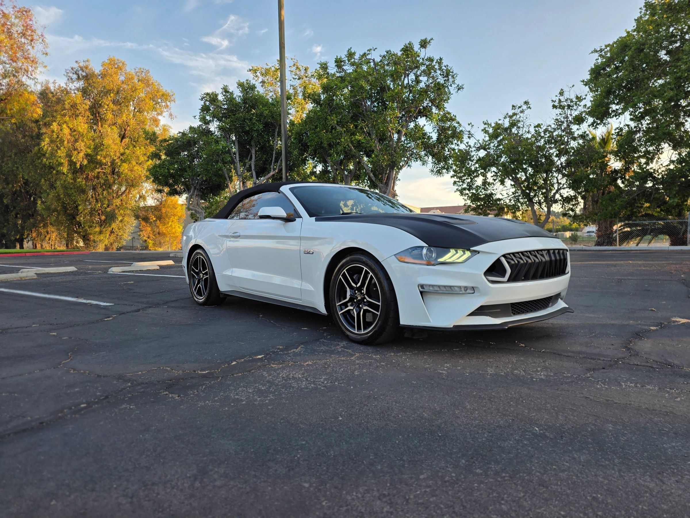 Used 2019 Ford Mustang GT Premium