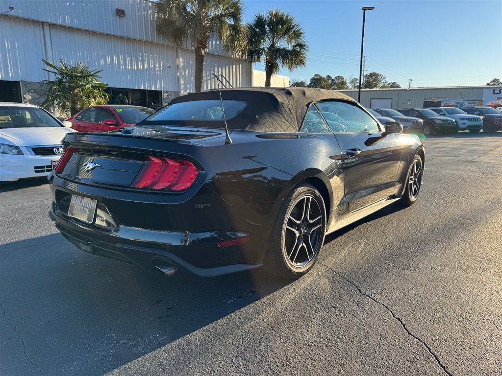 Used 2023 Ford Mustang Premium image 12