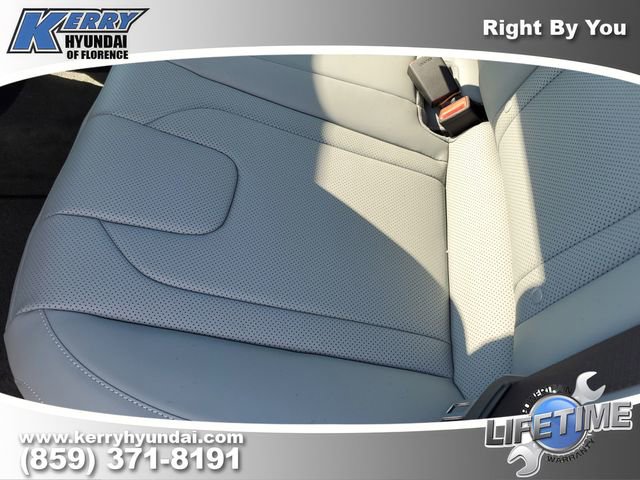 New 2026 Hyundai Elantra Limited image 14