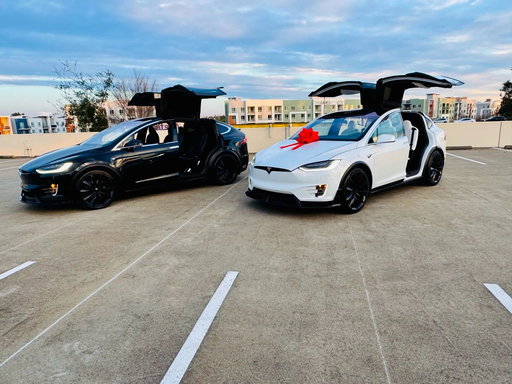 Used 2020 Tesla Model X Long Range image 18