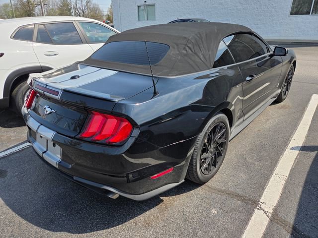 Used 2018 Ford Mustang Premium w/ Equipment Group 201A image 5