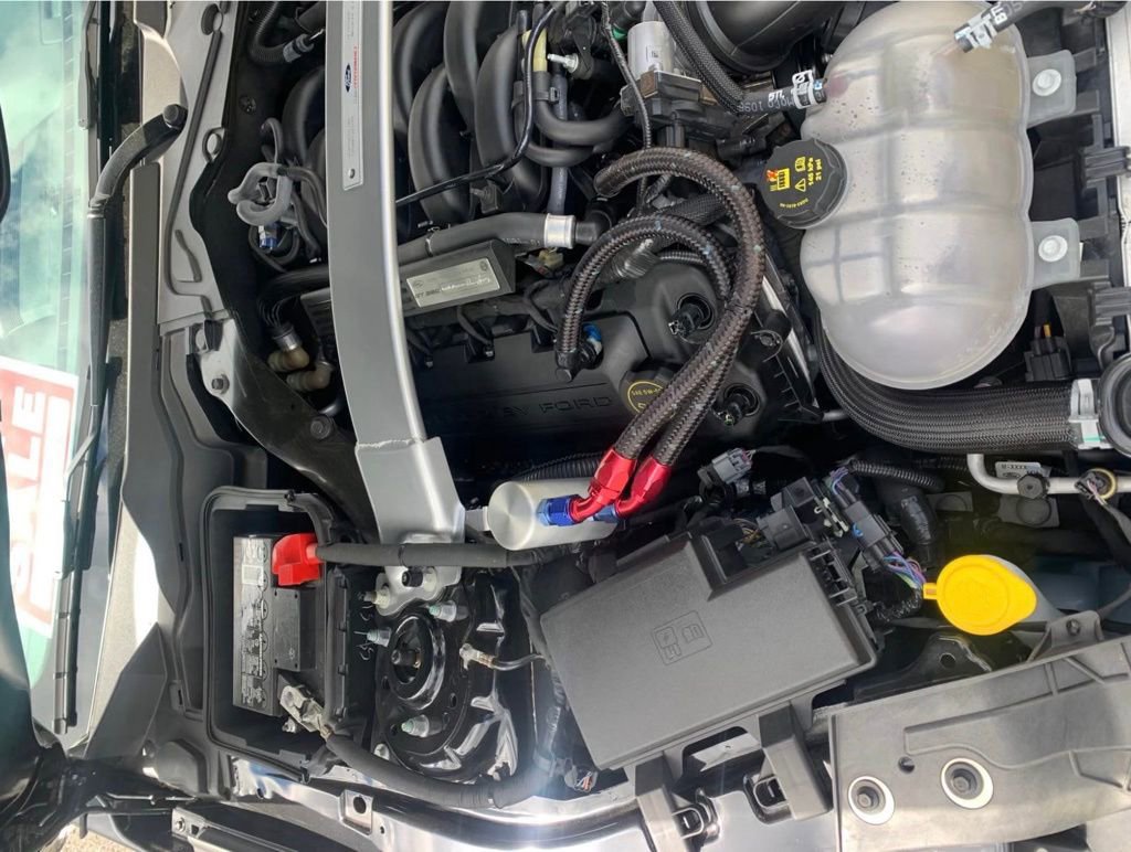 Used 2016 Ford Mustang Shelby GT350R w/ GT350R Equipment Group 920A image 3