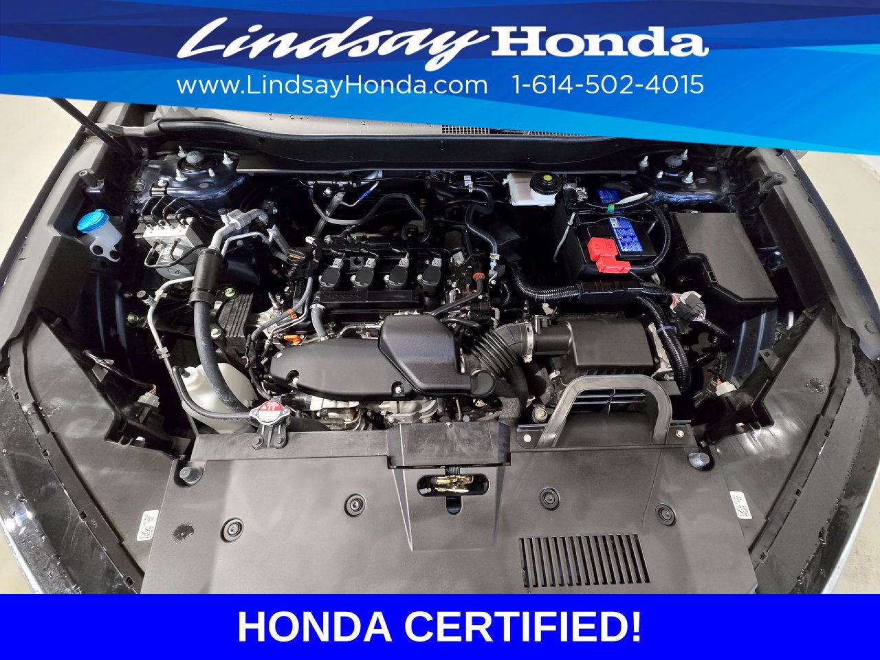 Certified 2025 Honda CR-V EX image 25