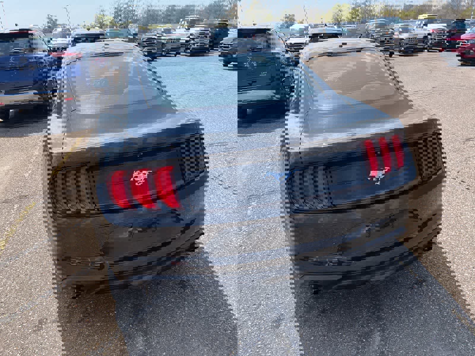 Used 2019 Ford Mustang Coupe RWD image 12